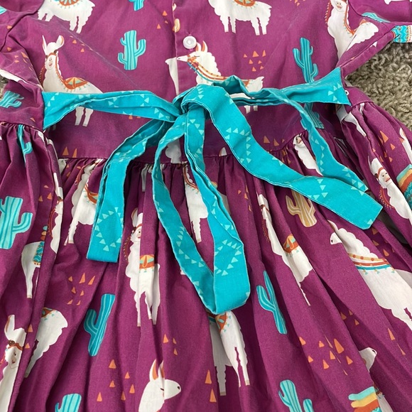 Eleanor Rose Llamas & Cacti Paisley Dress size 7-8 - Picture 5 of 7